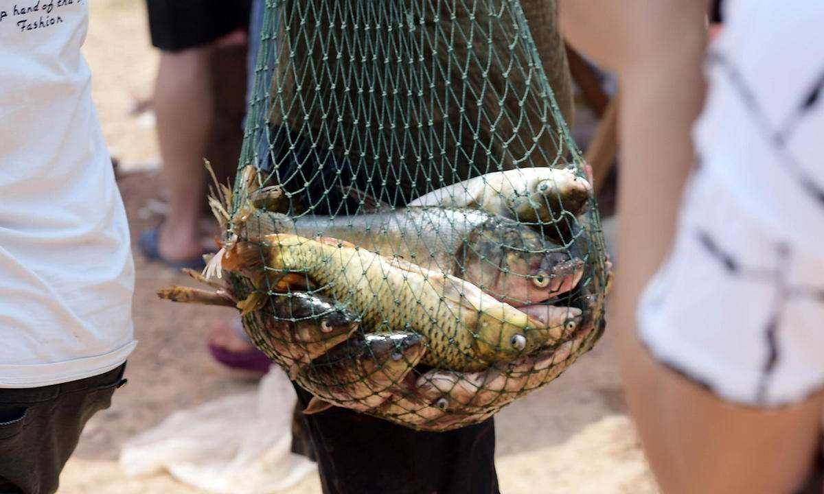 重庆鱼泉之谜,农家后院一口泉水不断喷出鱼,带来巨大财富_自动_旅游业