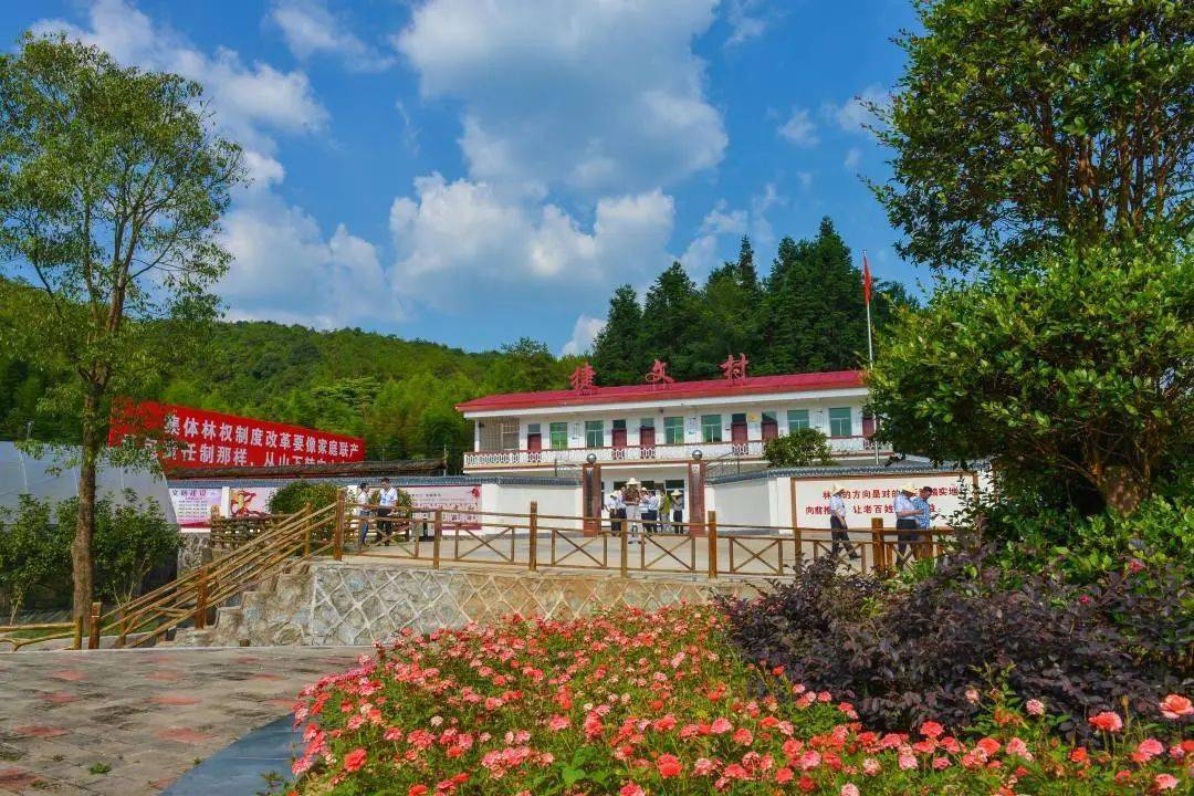 林业生态文明实践基地 | 武平县万安镇捷文村_改革_发展_全国