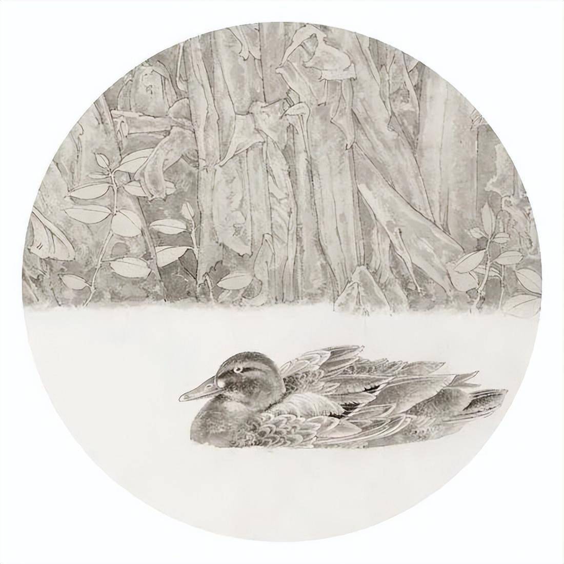 崔佳丽|一颗雅逸诗心,寄情于花鸟草木_自然_作品展_写实