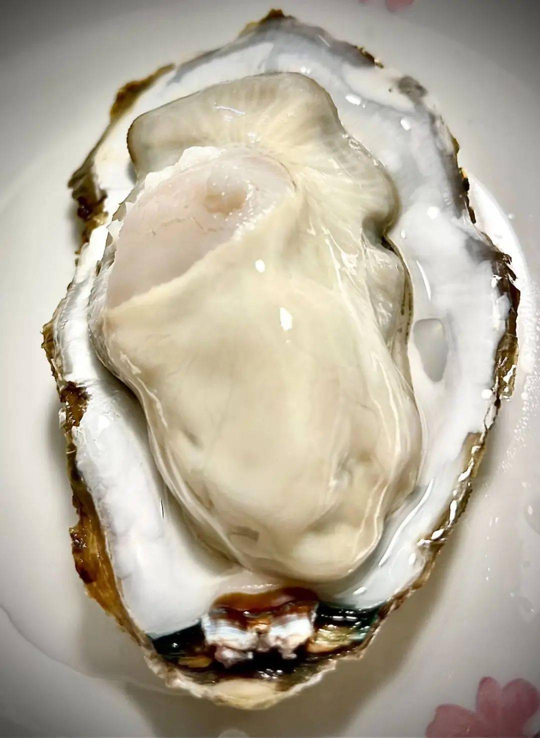 乳山极品生蚝王~特级10斤装,省内包邮到家_关火_时候_平面