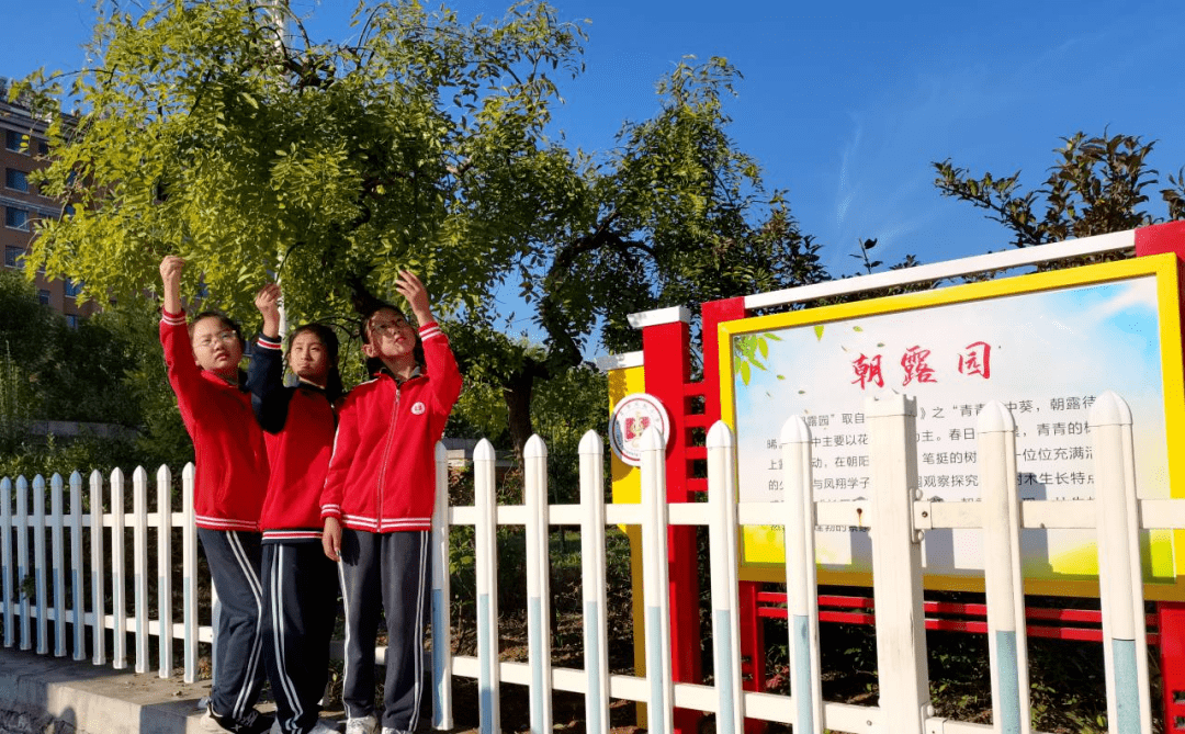 来看凤翔小学的"成志德育"新样态