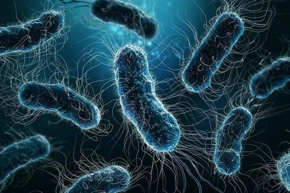 军团病,是由一种名叫"军团菌"的细菌引起的疾病.