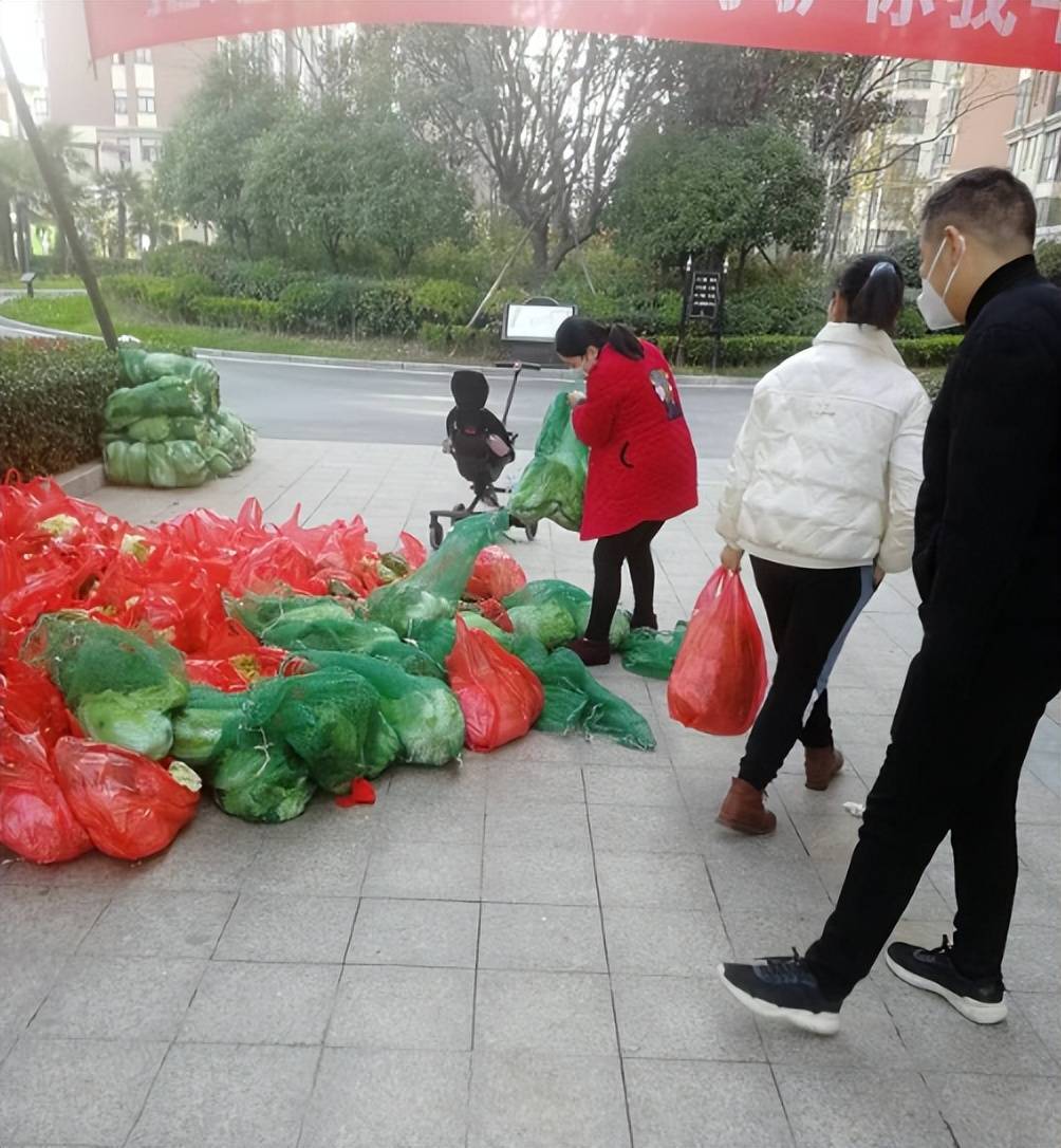 邓州花洲览秀图片