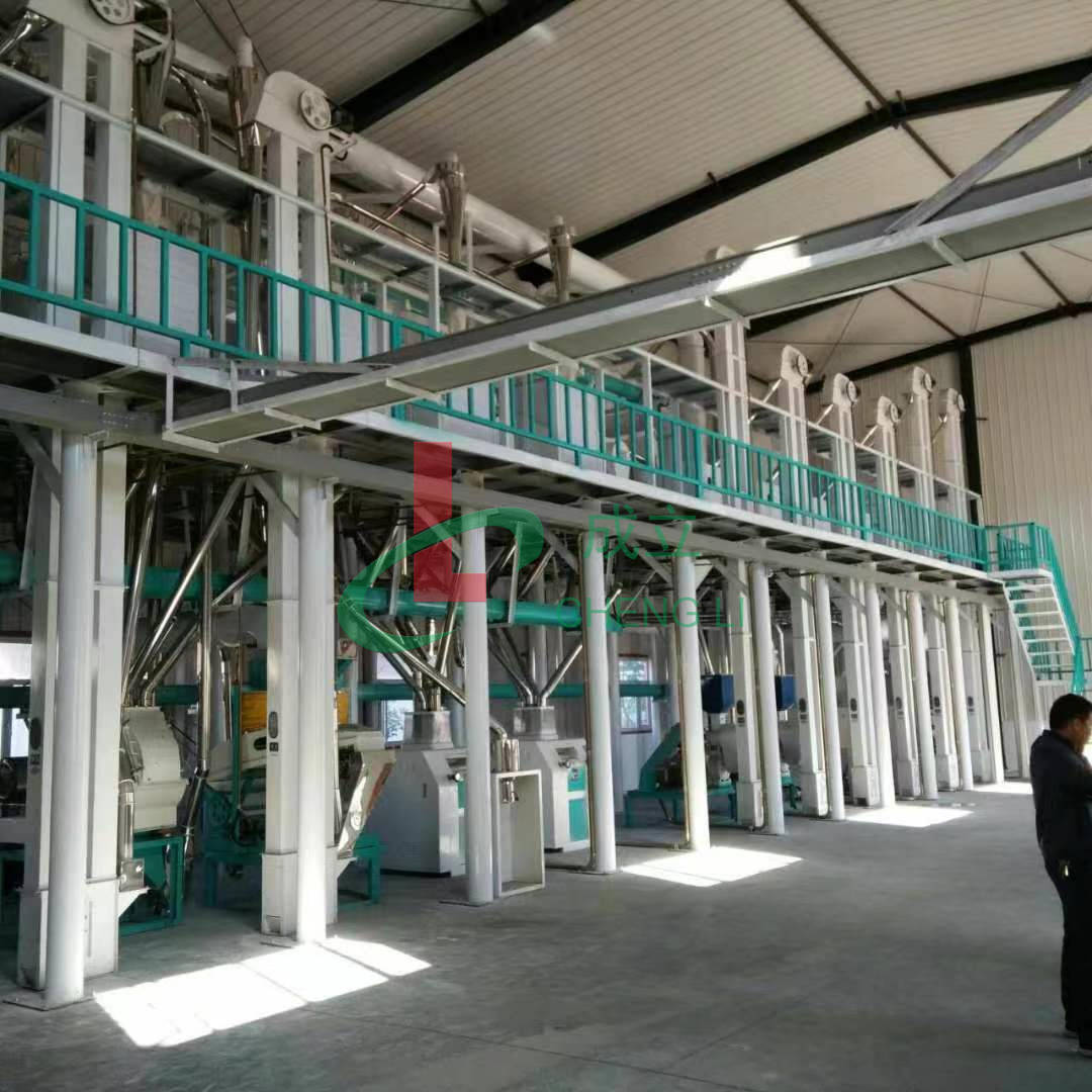 提高日产20吨加工玉米糁机器成品质量的方法_原粮_检测_市场