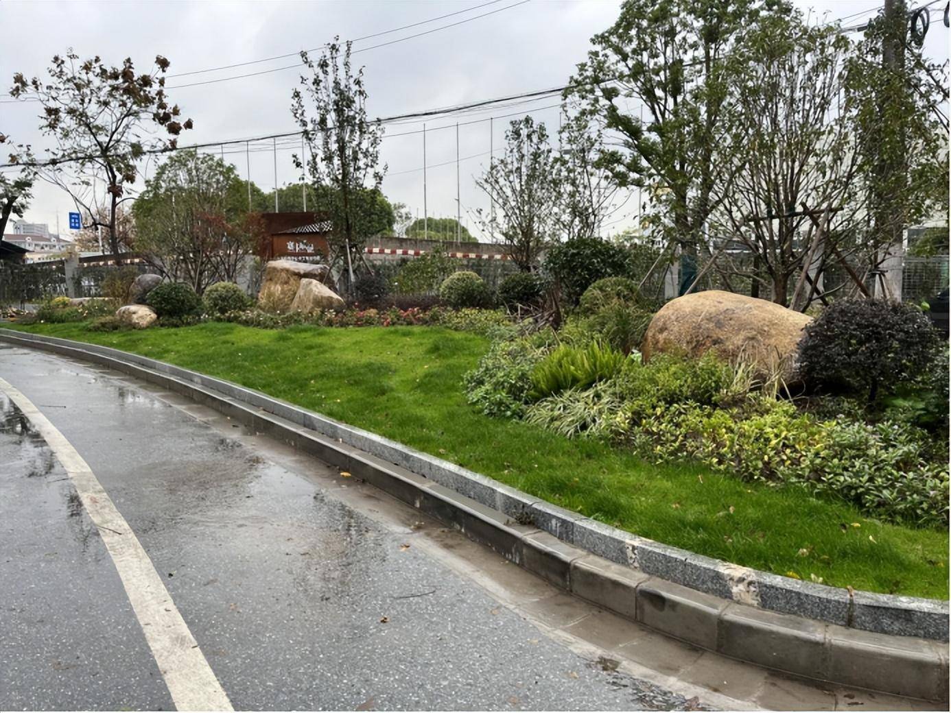 虹口这些道路"焕新"啦!_绿化_广中路_改造