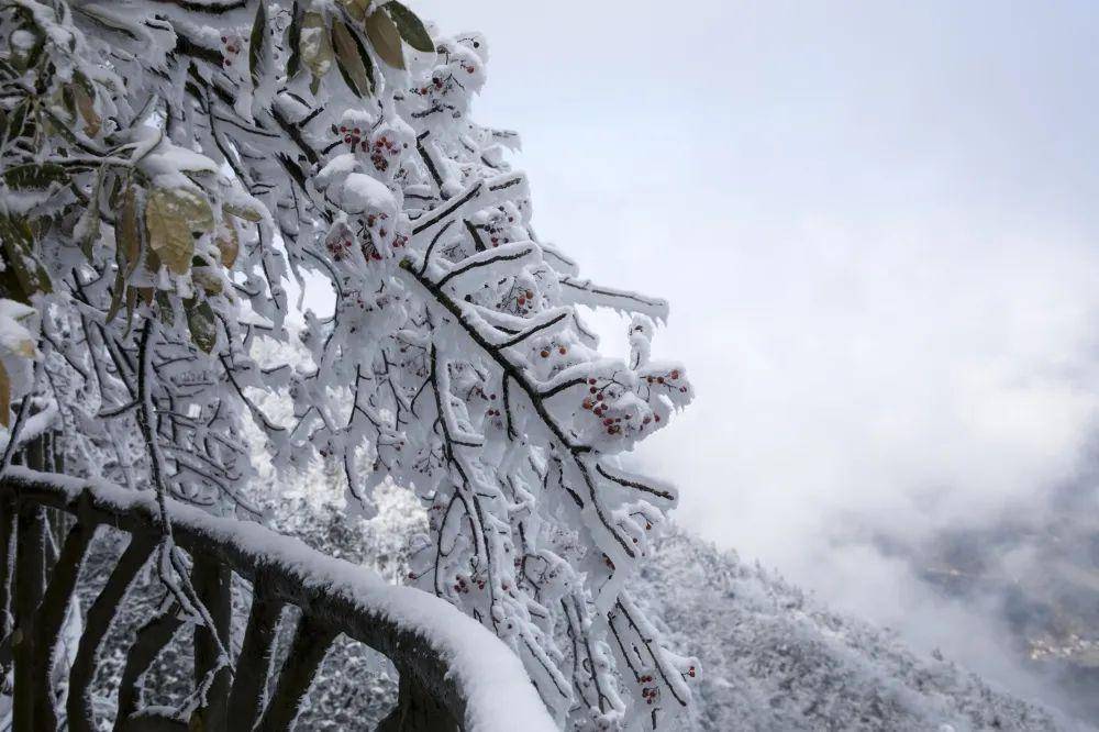 下雪啦!灵山初雪已派送_陈进荣_登山_大自然
