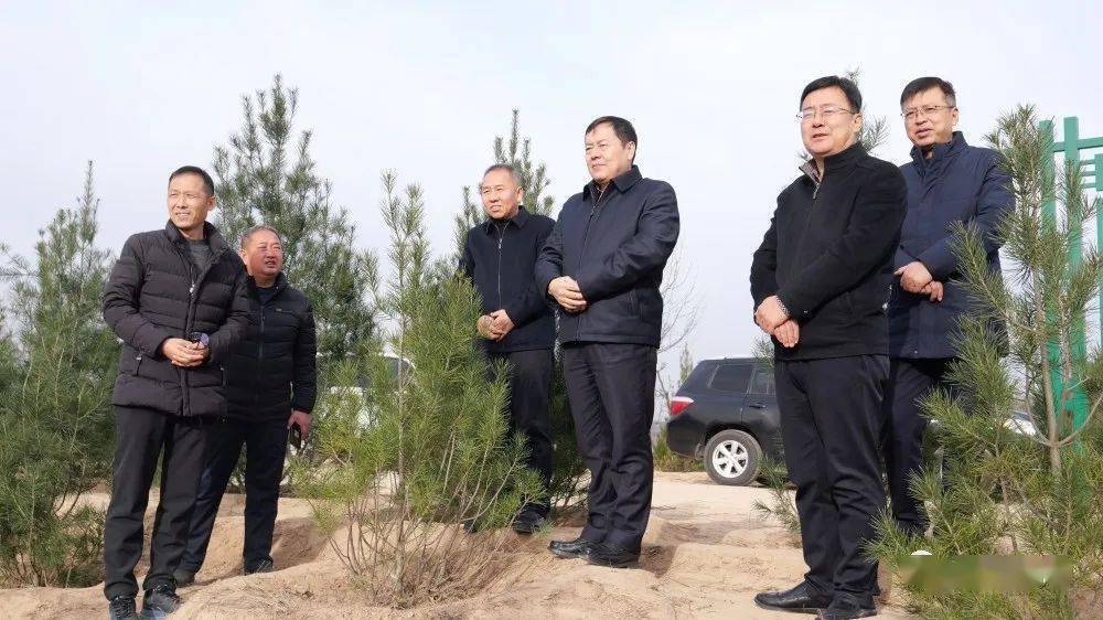 12月3日,延长县委书记,县级总林长曹林虎深入包抓责任区延长县柏树岭