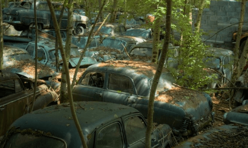 居民在野外发现数百辆僵尸车,立马拨打警方电话报料_大哥_探险_树林