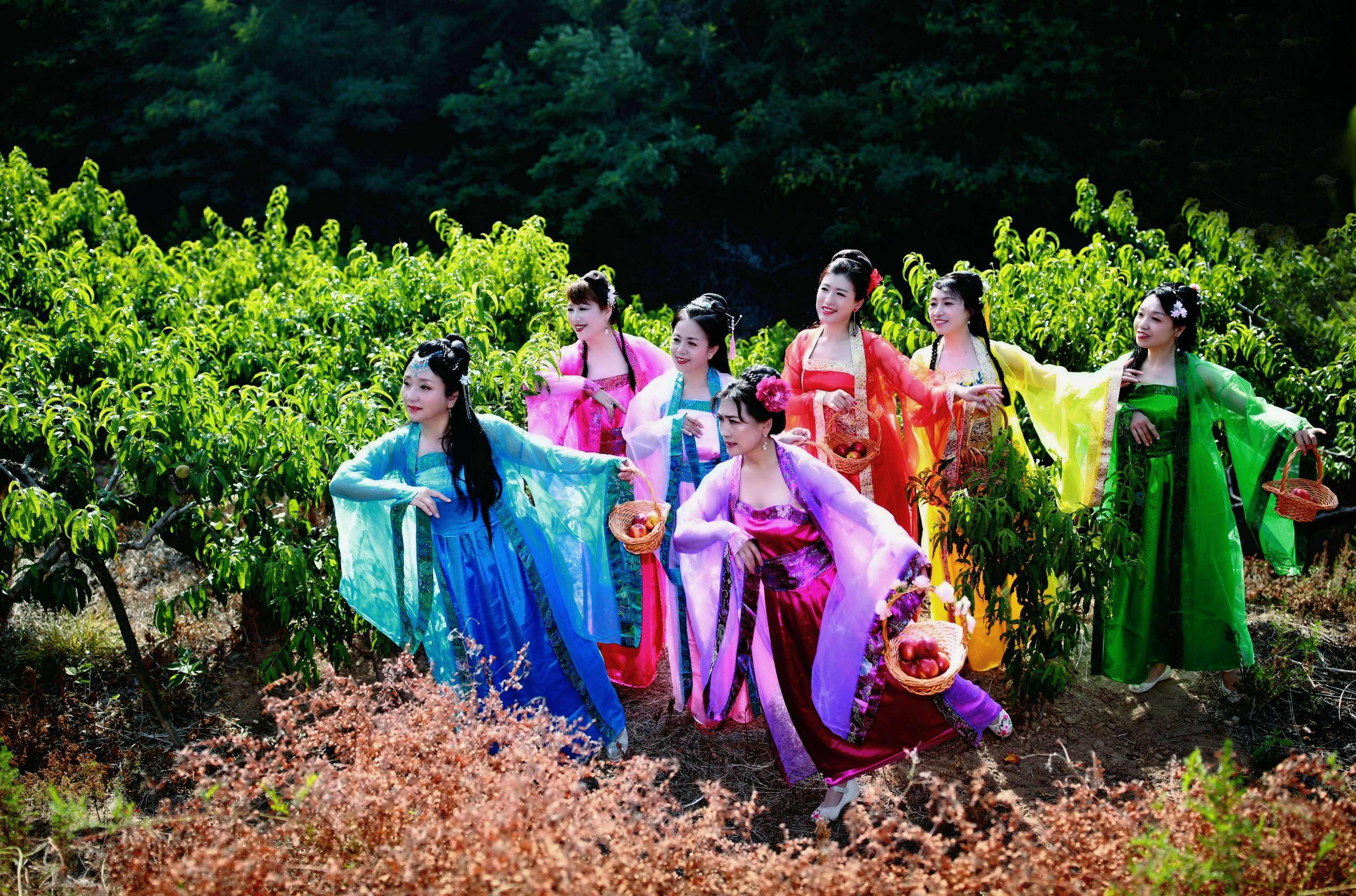 我有七个姐姐,号称"七仙女".