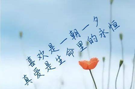 爱一个人,撞了南墙也不回头,是执着还是不甘心?_爱得_什么_爱的