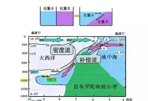 補償流:分為水平流和垂直流,多在大洋兩岸.例如,赤道逆流,秘魯寒流.