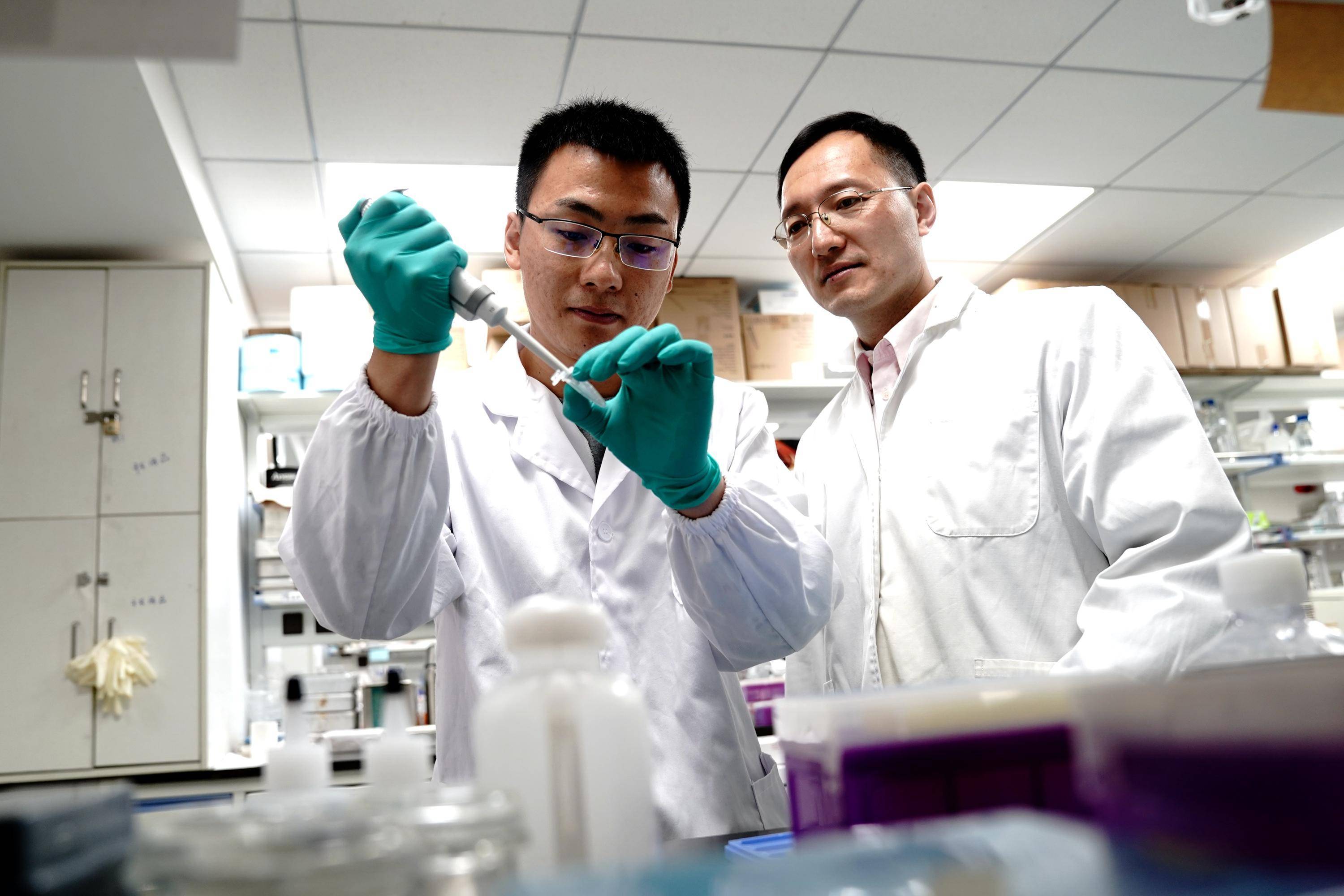 科学家利用创新技术揭示细胞也会"孟母三迁"_新华社_周斌_中国科学院