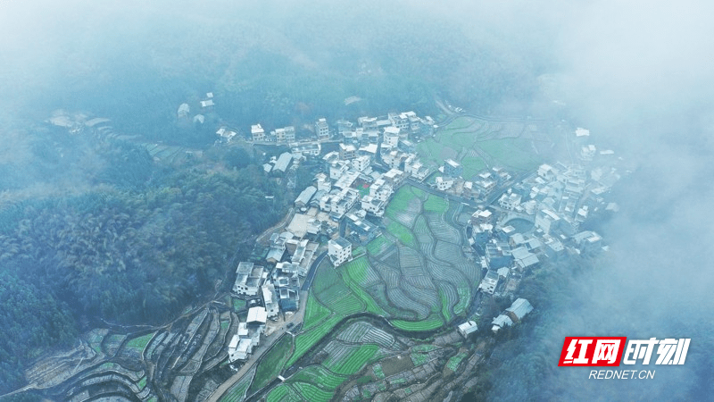 湖南新田：云雾缭绕村落映雪如仙境