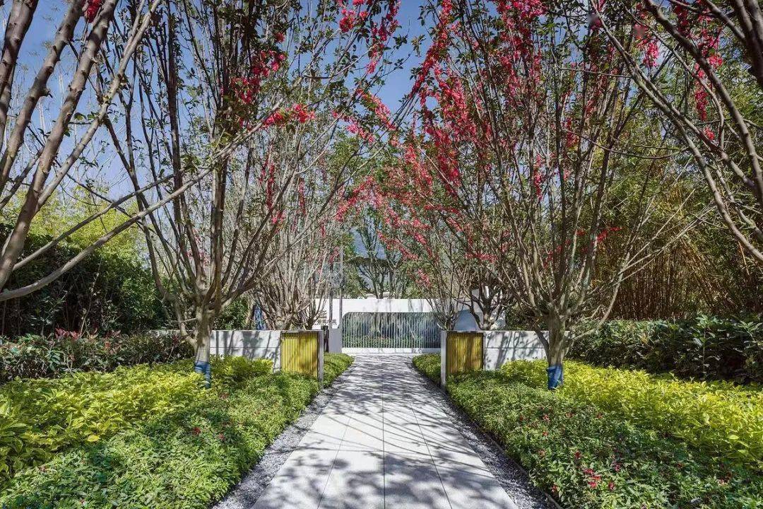 园路两侧的列植设计手法归纳,请查看~_种植_空间_绿篱