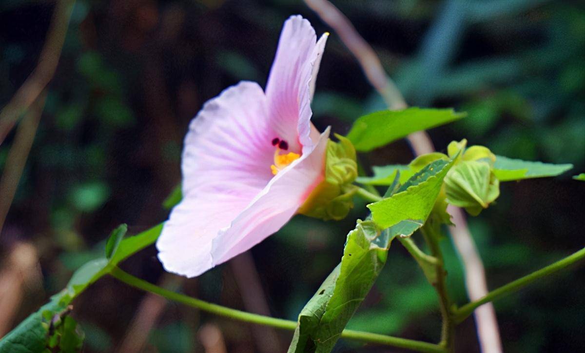来广东德庆盘龙峡漂流!就问你敢不敢_景区_夏天_瀑布