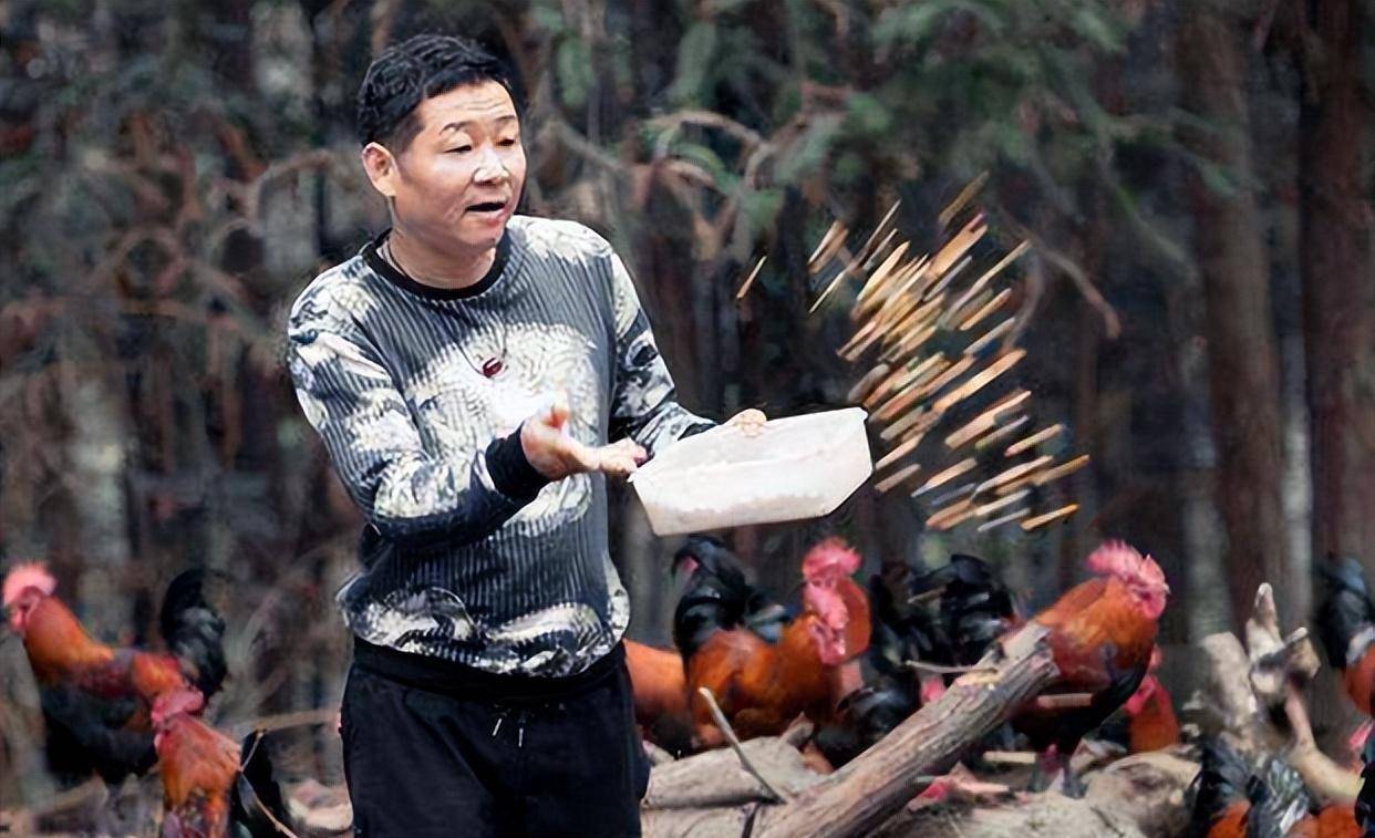 低调养鸡14年,带领288家农户脱贫,三德子赵亮才是真明星