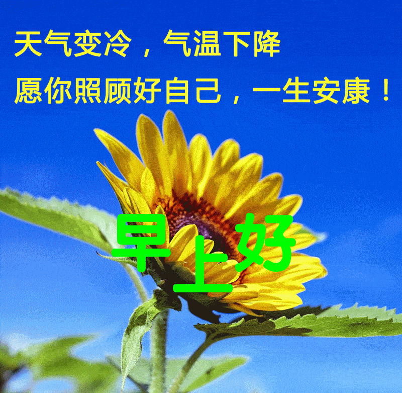 12月5日最漂亮早上好动态表情图片大全,早晨好动图美图大全_祝福_朋友