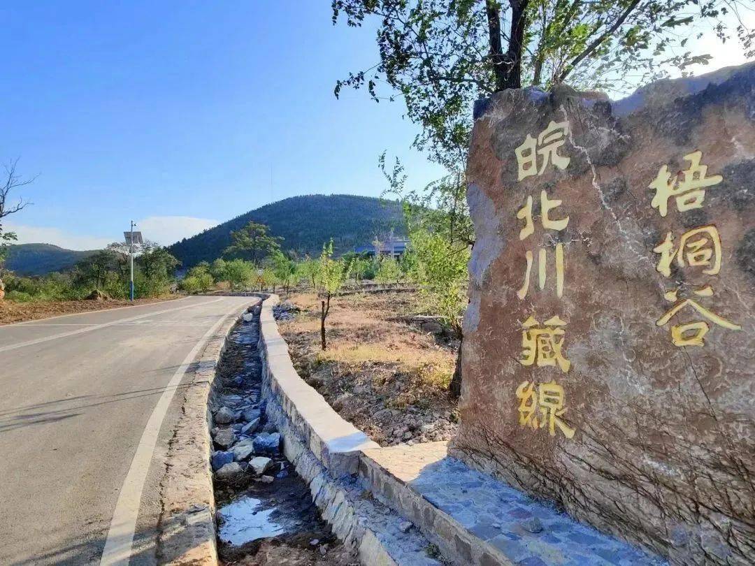 从"穷山沟"到"网红村"——以文旅产业助推乡村振兴的梧桐实践