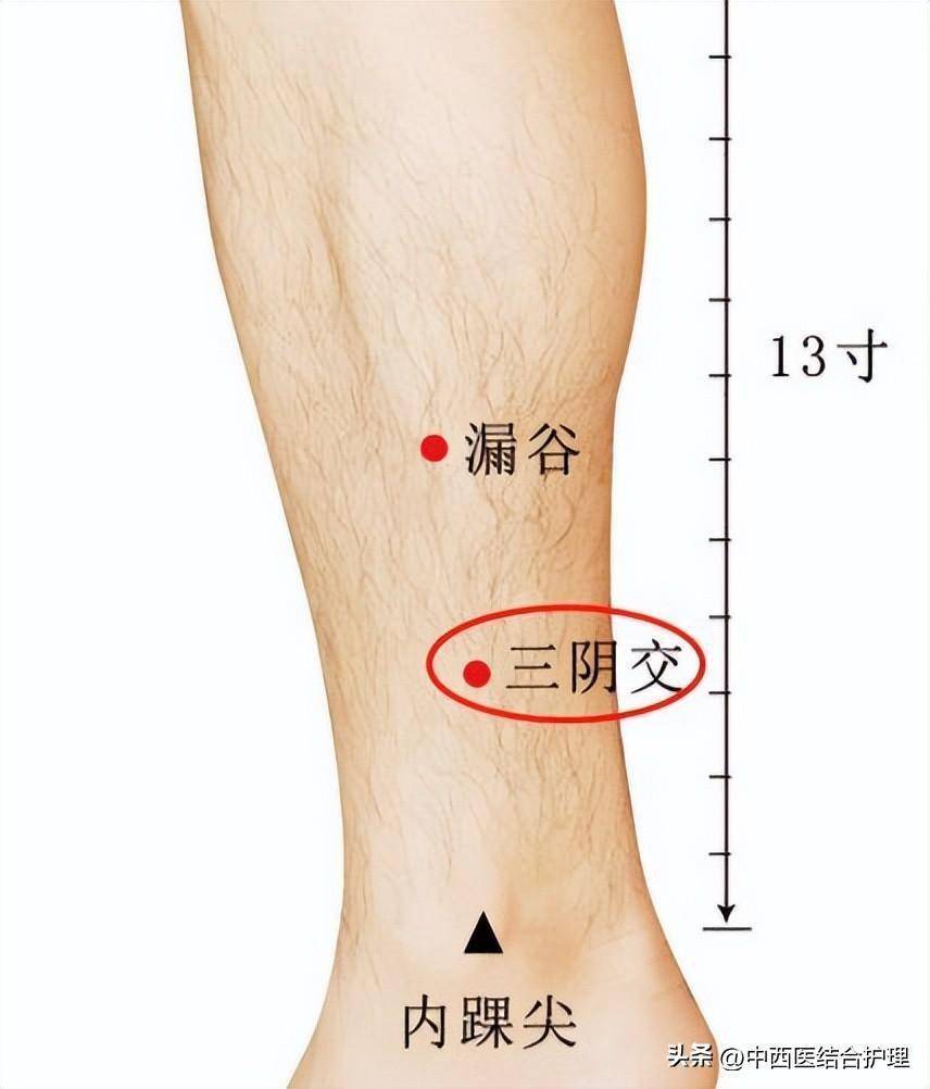 5,復溜:調節腎經的樞紐,專治水液代謝失常及活血化瘀的要穴,血瘀必灸!