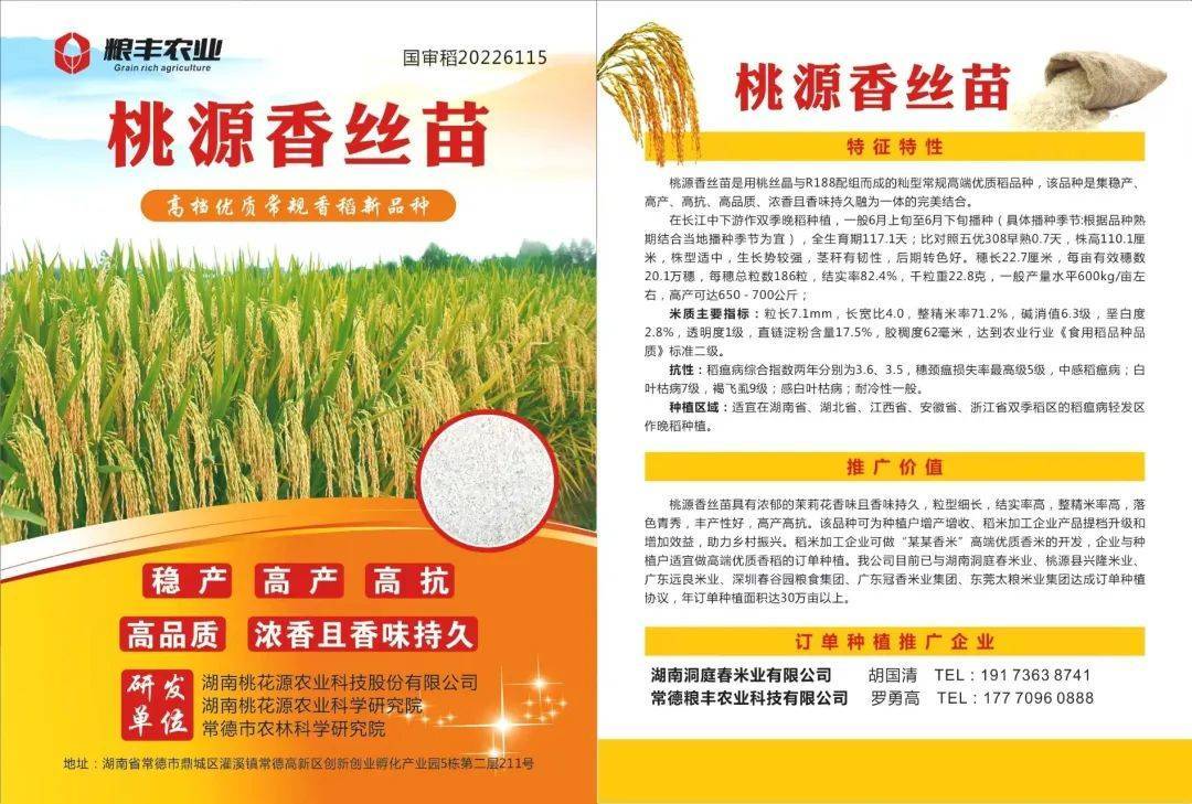 粮丰农业研发的水稻新品种桃源香丝苗通过国家农业农村部审核