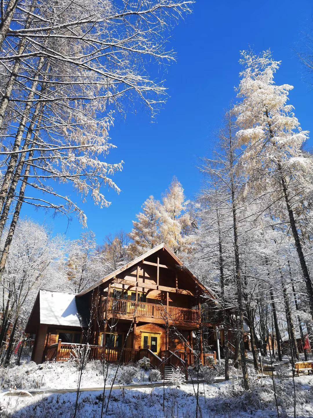 森林木屋雪景图图片