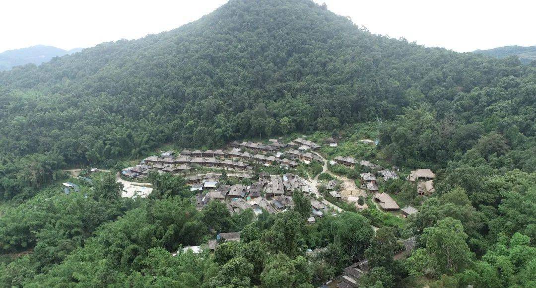 澜沧糯福乡:践行生态优先理念 打造绿色发展新样板_南段_保护_森林