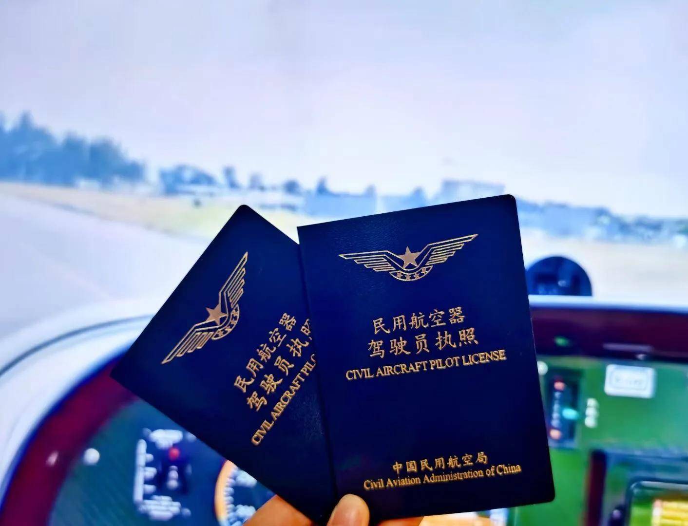 可驾驶飞机:初级飞机(类似于美国的lsa),合格的单引擎飞机等.想飞吗?