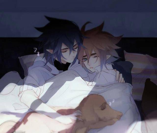 《坦白从严》"狼羊之恋"_贺朗_杨卷_对方