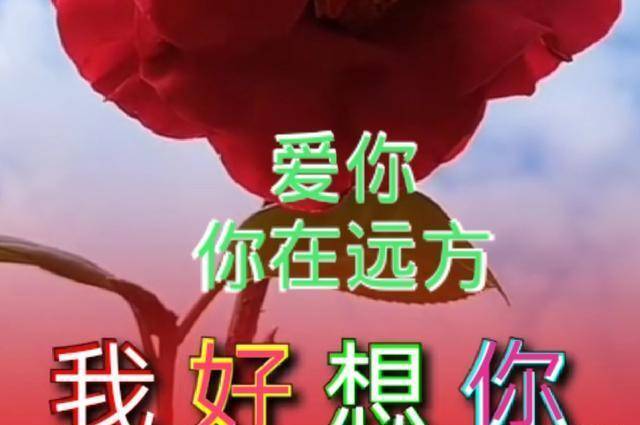 爱你此情不渝,想你朝朝暮暮;爱着想着,你是我生命里的主角_一生_梦中