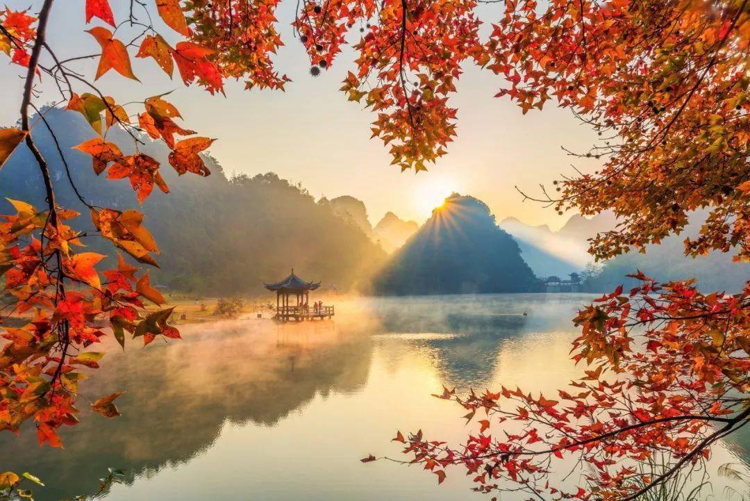 德保县东北部是我国最大的红枫森林带之一这里有10万亩枫叶林春秋温凉