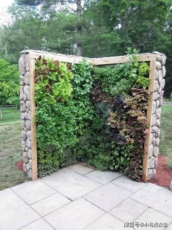 生活在高楼大厦里,阳台是最理想的种菜环境,种菜离不开三大件,种子