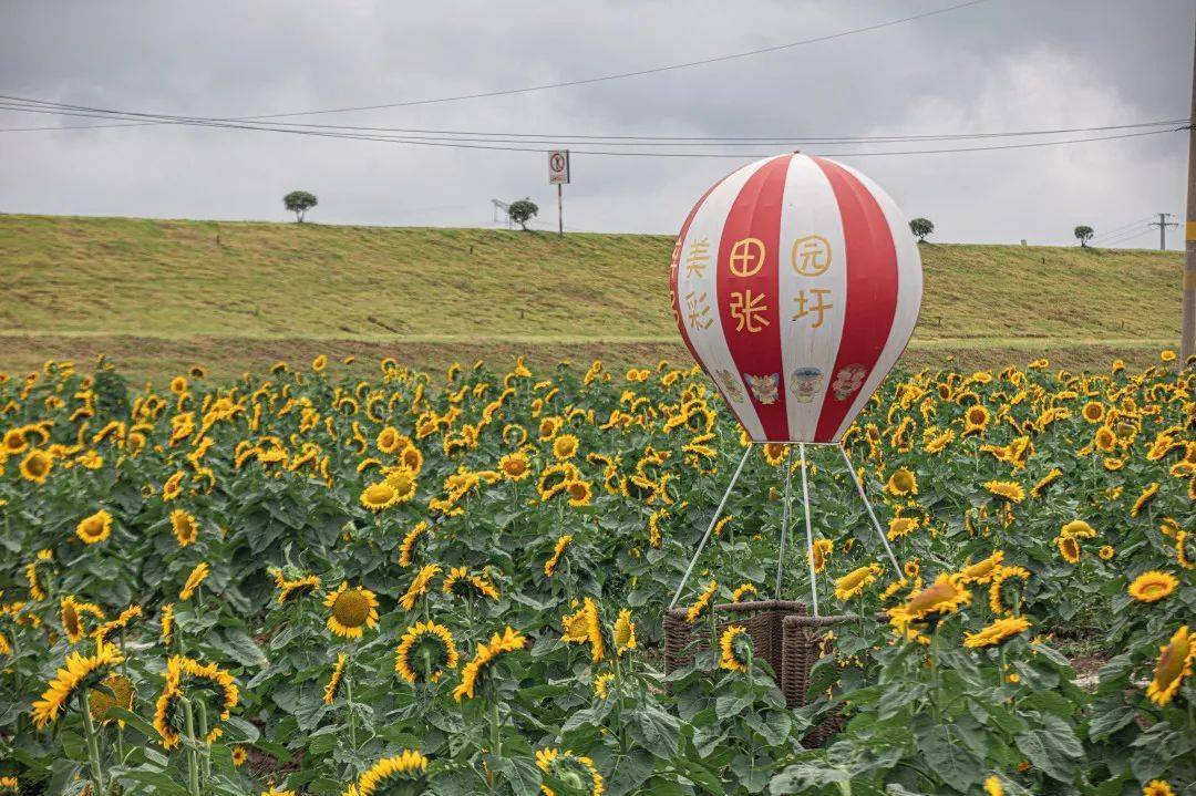 省级乡村旅游重点村2个(侯冲社区,联合村),国家3a级景区1个(水墨大埝