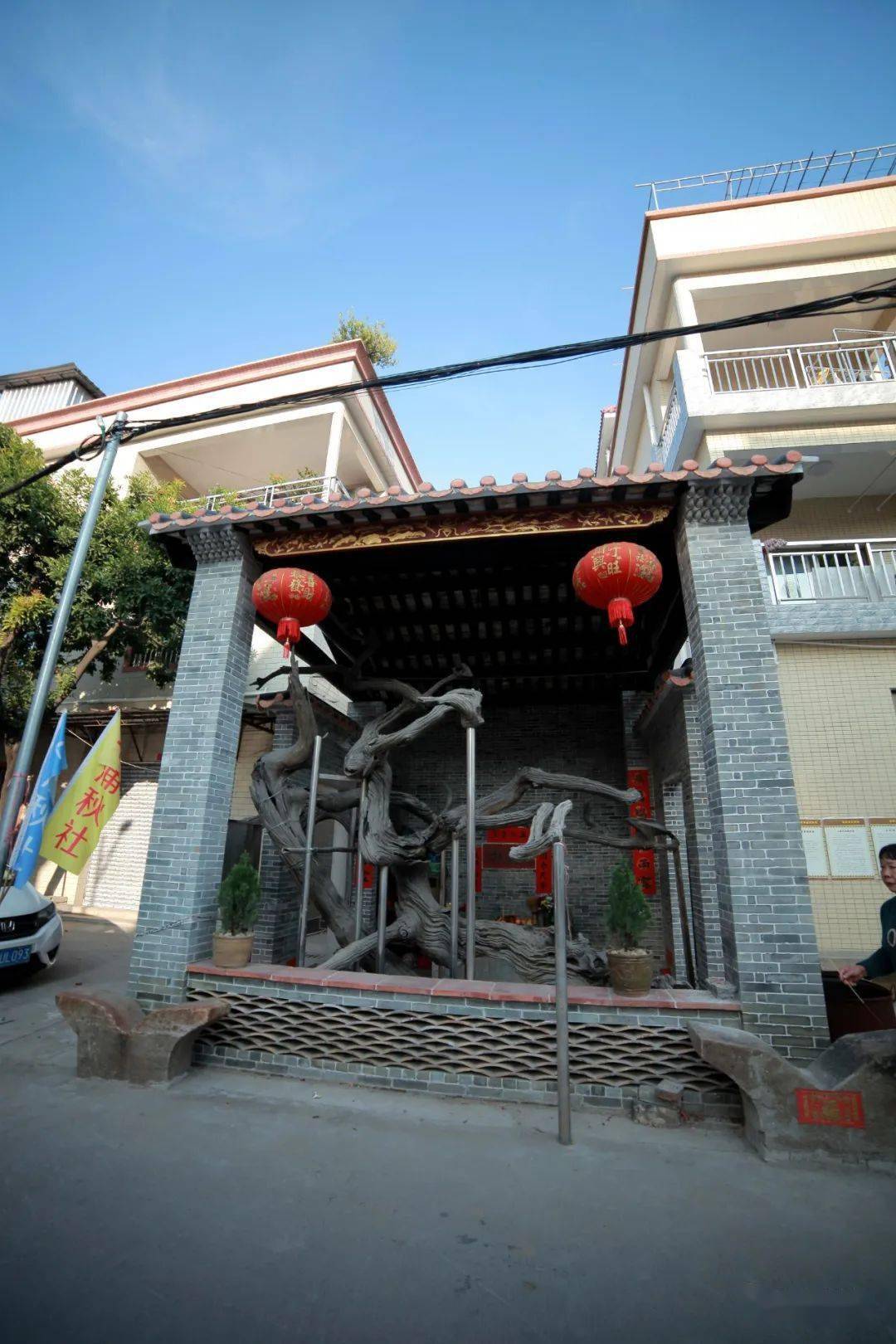 顺德勒流上涌2022_上涌村_公祠_古松