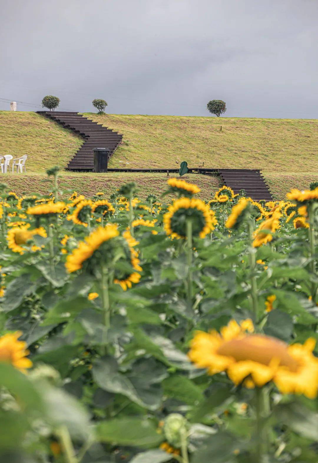 境內有全國鄉村旅遊重點村1個(大埝社區),省級鄉村旅遊重點村2個(侯衝