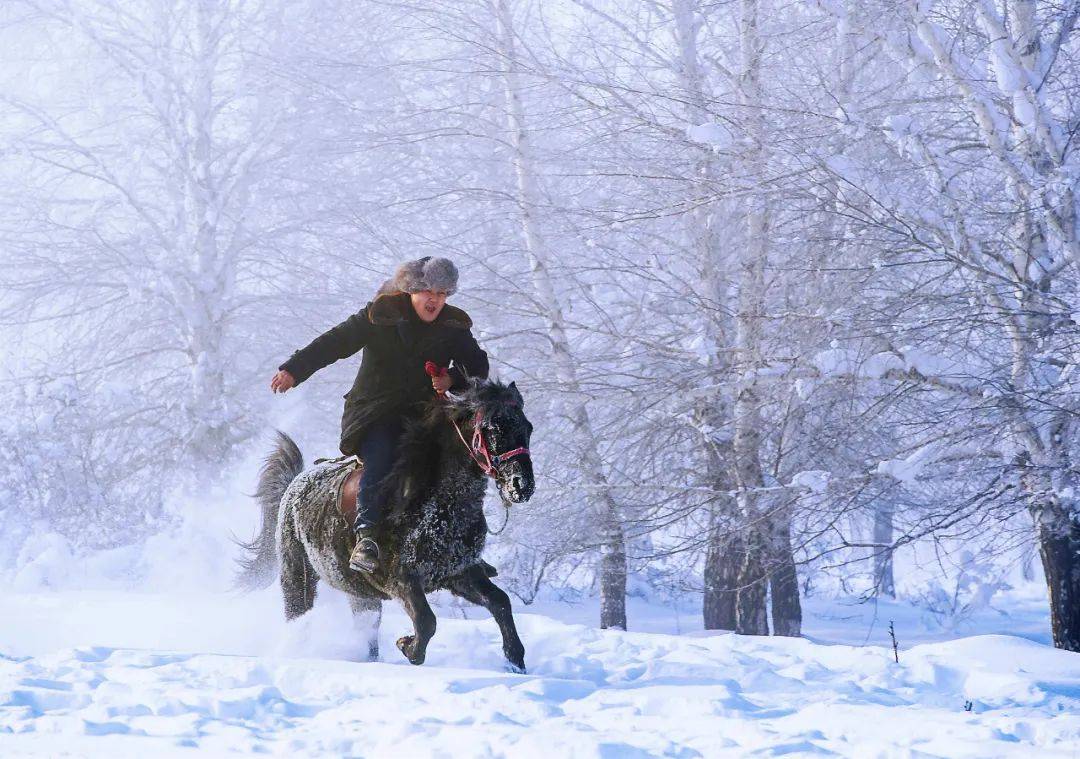 气势如虹牧民挥舞马鞭,骏马奔驰沾染雪的痕迹行进中的骏马鬃毛披银挂