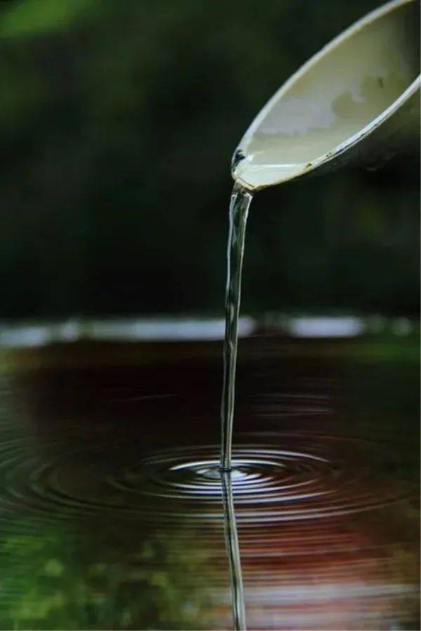 每日一禅:67取舍_因为_杂质_杂念