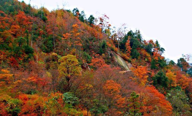 牟阳故城大坝红叶及景色不逊光雾山_老郭_景区_停车场