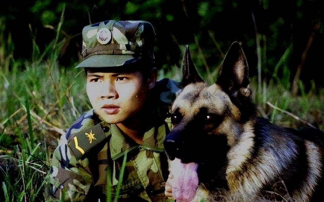 之后,他选中了一条名为"海龙"的军犬,驯兽师很开心,却没有料到,这一走