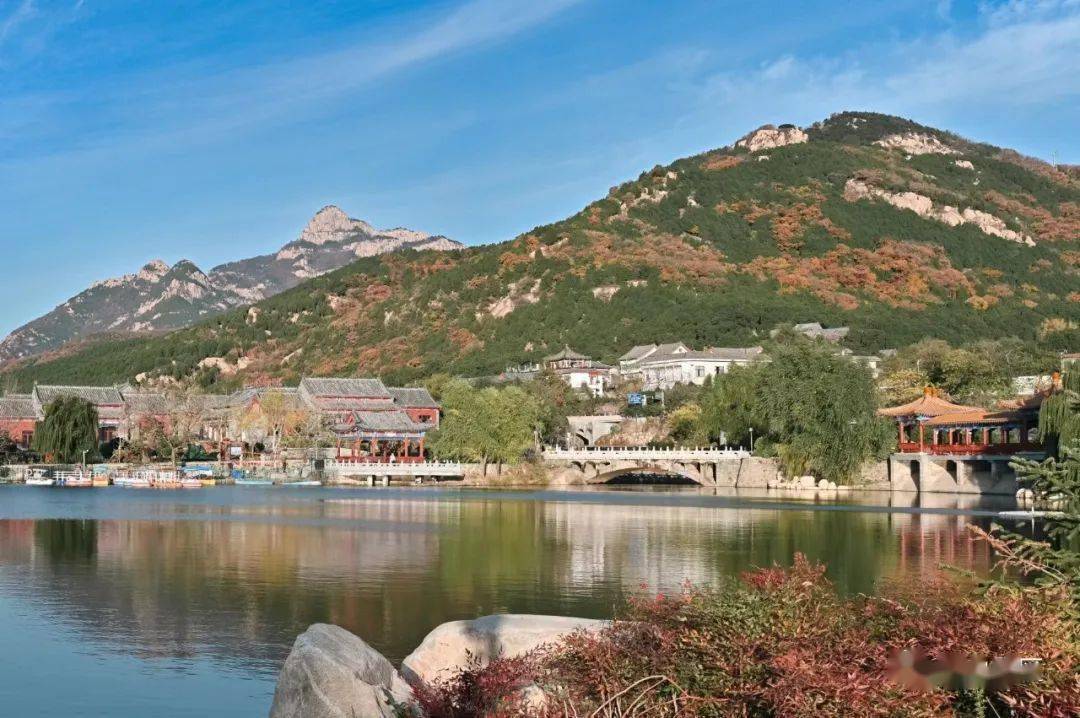 冬日虎山:暖阳晴空碧,冬景亦斑斓_叶片_公园_景区