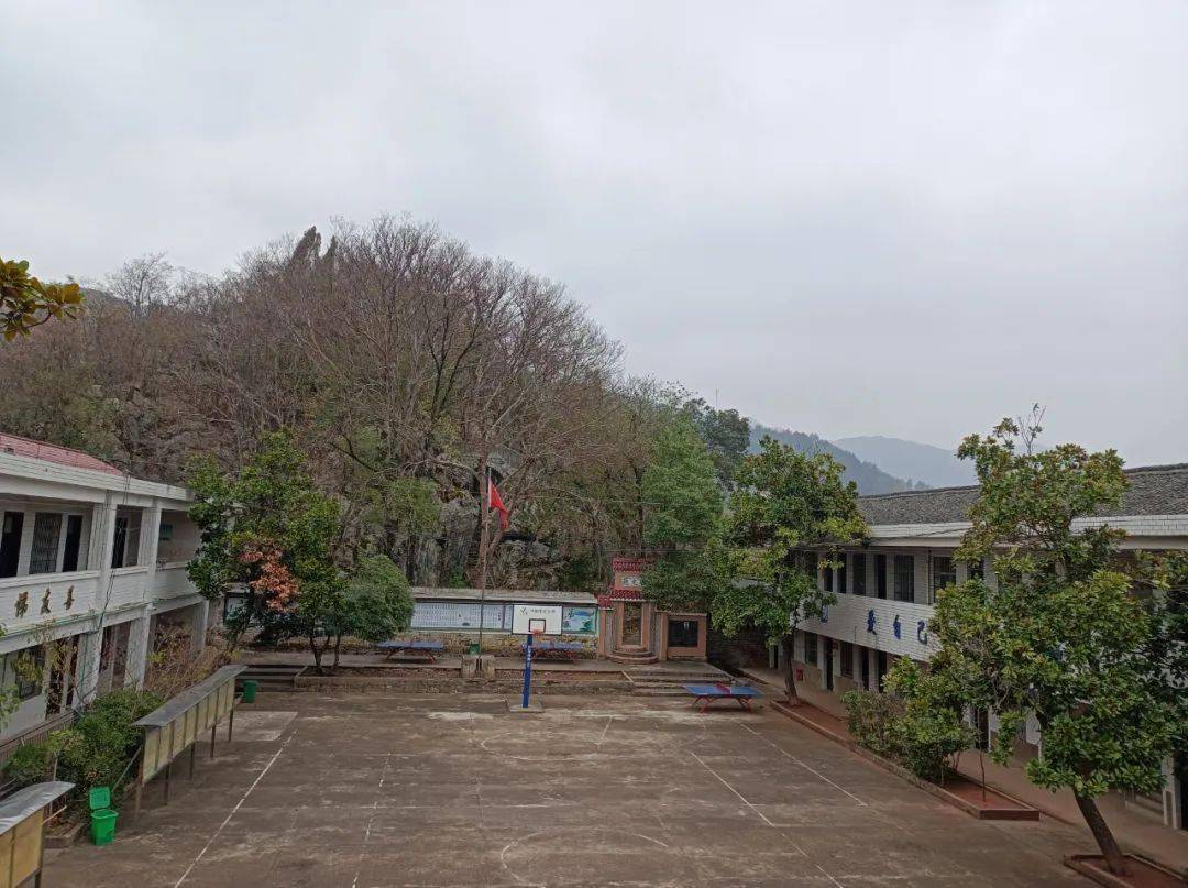 邵东市双凤乡古奇学校搞的好_采购数量_午餐_食材