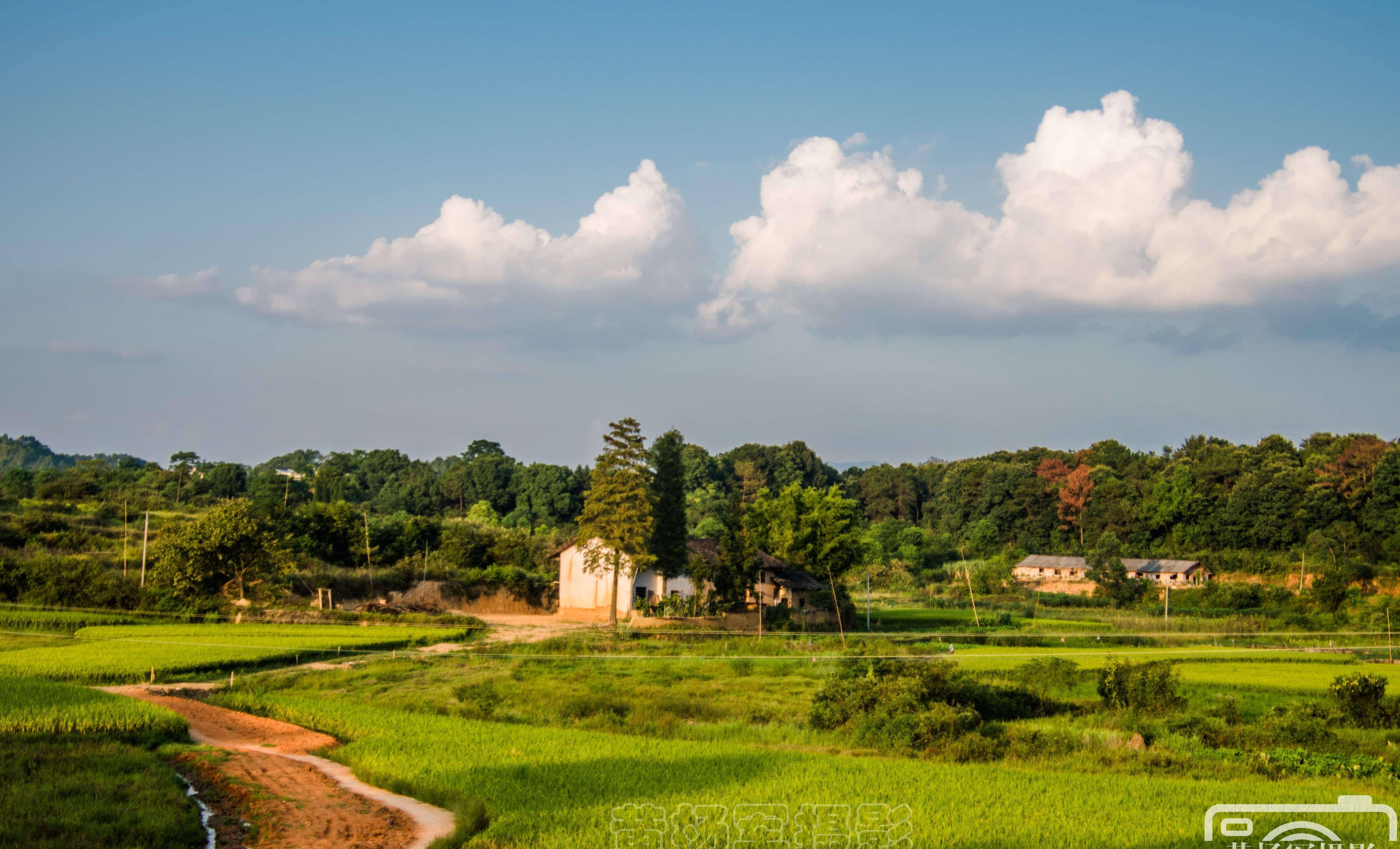 南方乡村风景图片图片