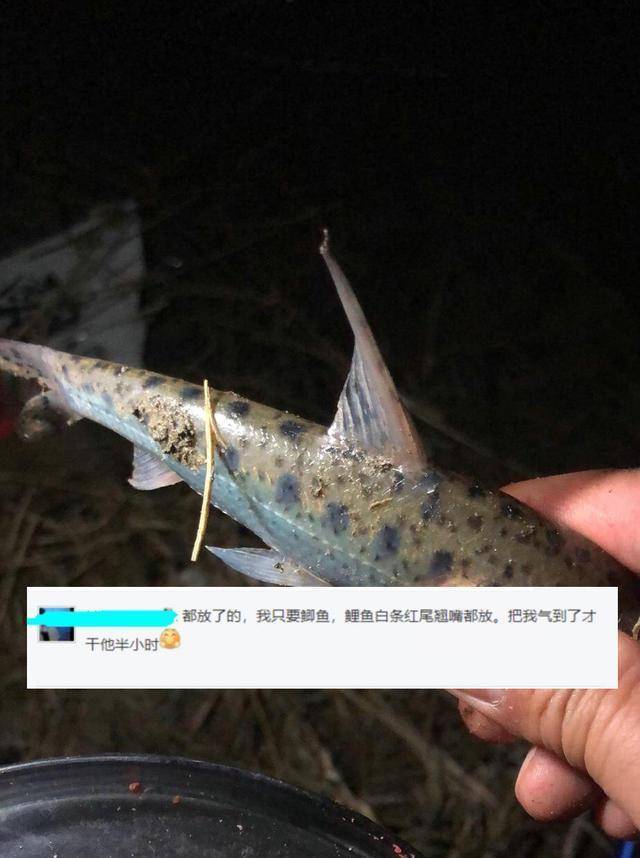 看后则直呼这位郴州钓鱼人是"暴殄天物"——大家都认为花骨鱼虽然刺多