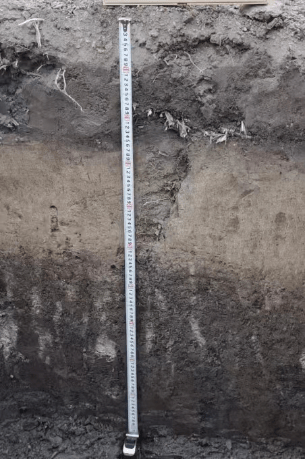 从剖面图看,白浆土最上面是一层黑土层,下面就是障碍土层——白浆层