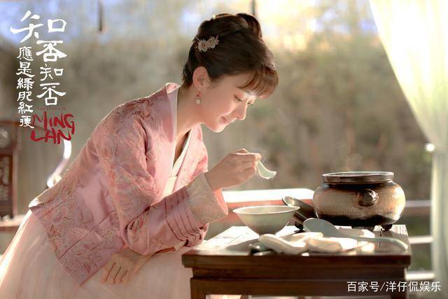 《我的真朋友》,《加油,你是最棒的》,《海棠经雨胭脂透》四部电视 