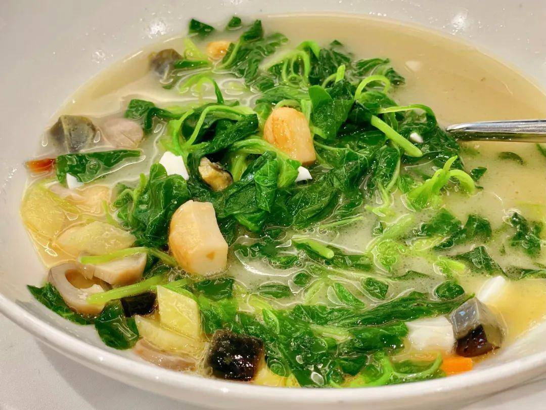 当一个南方人在北方说:加个青菜吧_上海_广东_菜心