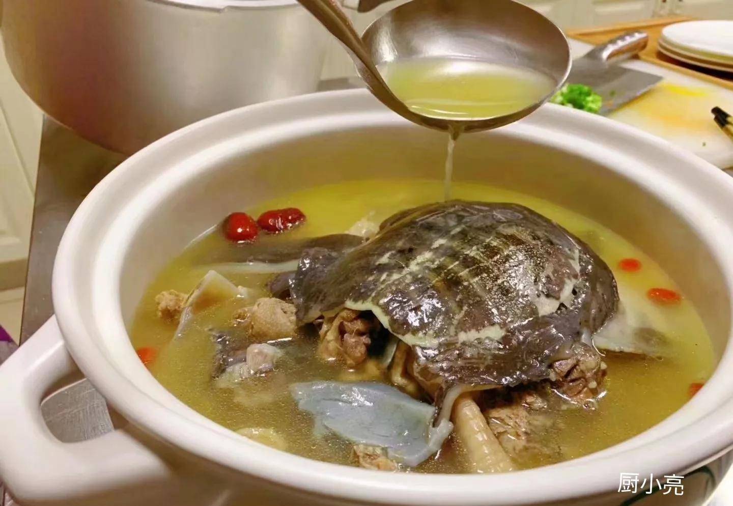 甲鱼汤的做法 炖汤图片