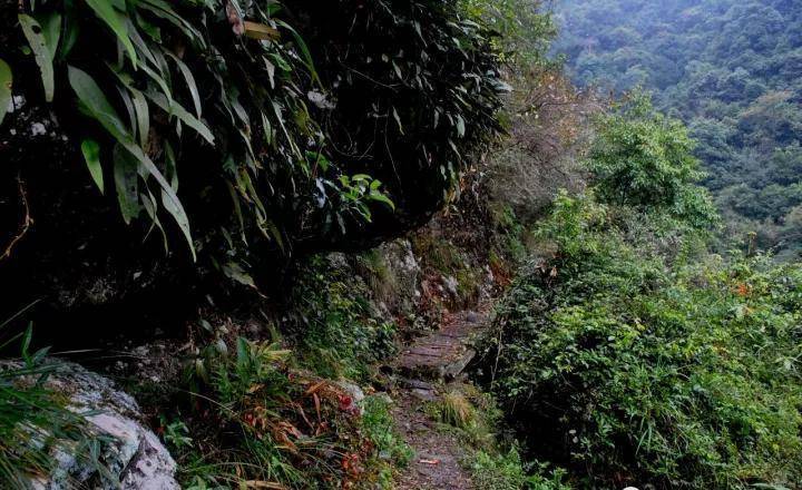 遂川热水洲,河滩上的野温泉您泡过没有_生活_天气_健身