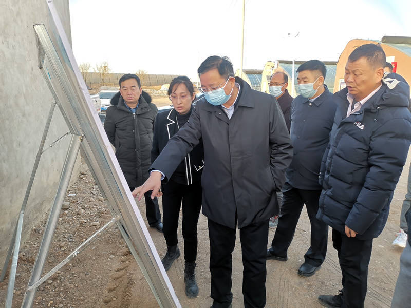 张戈调研连湖农场重点产业发展_葡萄_湖西_西红柿