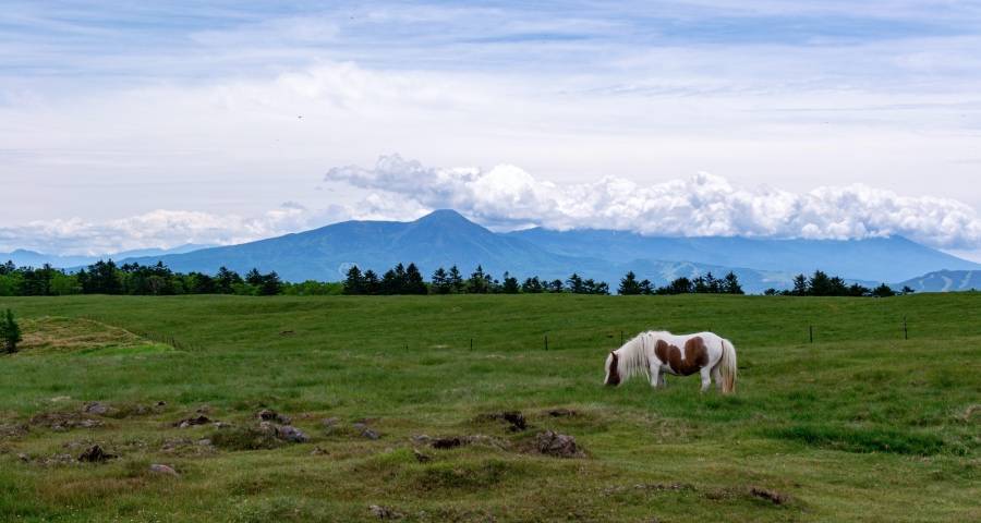 这一轮的家电低价恶战何时会结束？-家电圈官网