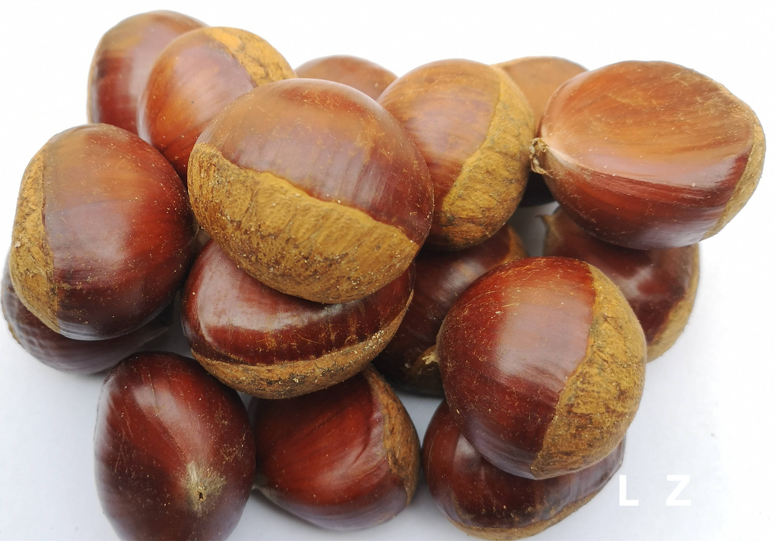 "五果"之板栗 《黄帝内经》都说好 养胃补肾健脾 这个冬季你吃啦吗